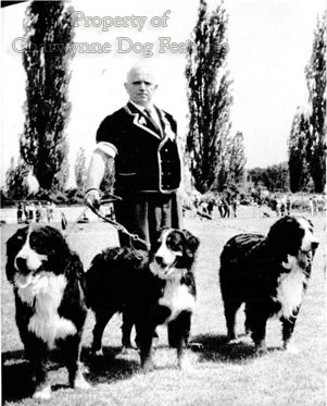 161-1 BERNESE MOUNTAIN DOGS